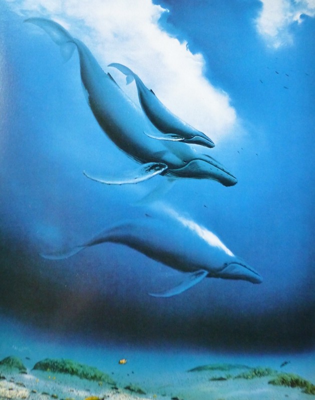 Wyland Studios Humpback Whale family 1988 Ocean Sea Nature whales animal art