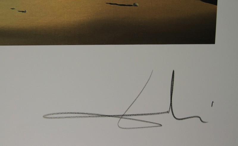 Salvador Dalí * moment of transition * 50x65 cm * signed lithograph * limited gallery