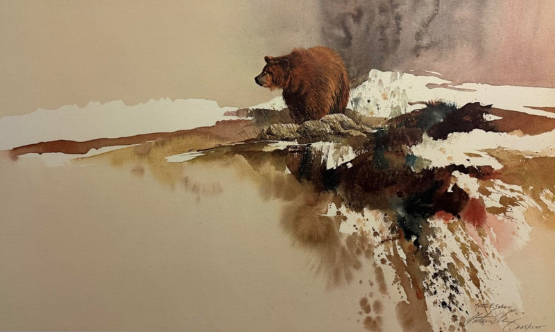 Morten Solberg Brown Bear Signed And Numbered With Cert Image Size 17″ x 26″