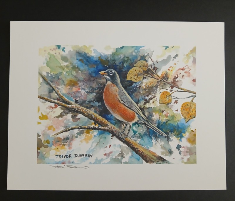 Robin Print