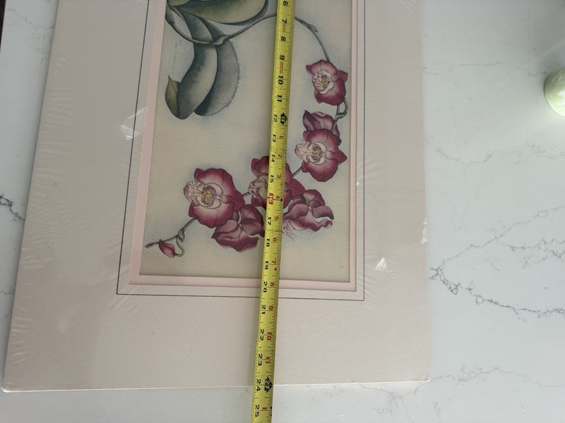 Unframed, Matted phalaenopsis Orchid, Print, Signed, And Numbered gallery