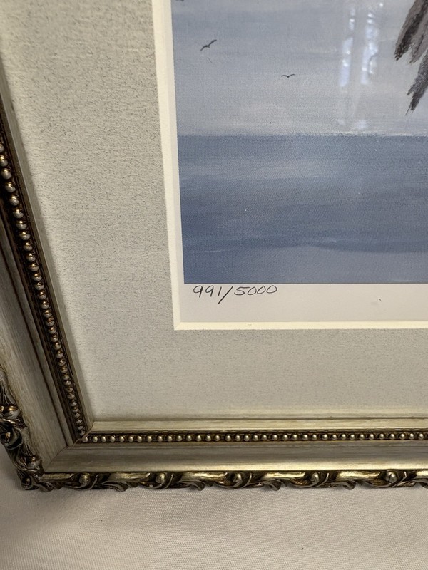 Limited Edition “Brown Pelican”991/5000 By Artist Anne Smith gallery