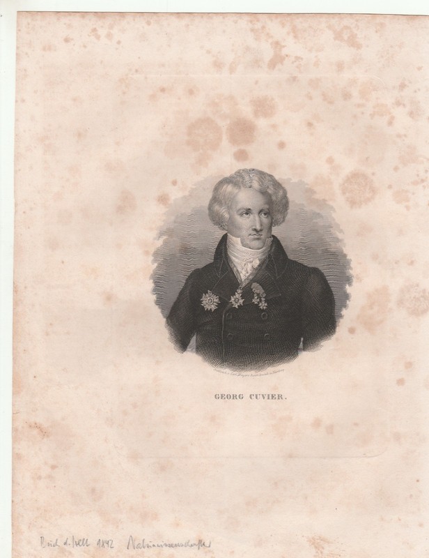 Georg Cuvier engraving or art print from 1842 size 13×18 cm