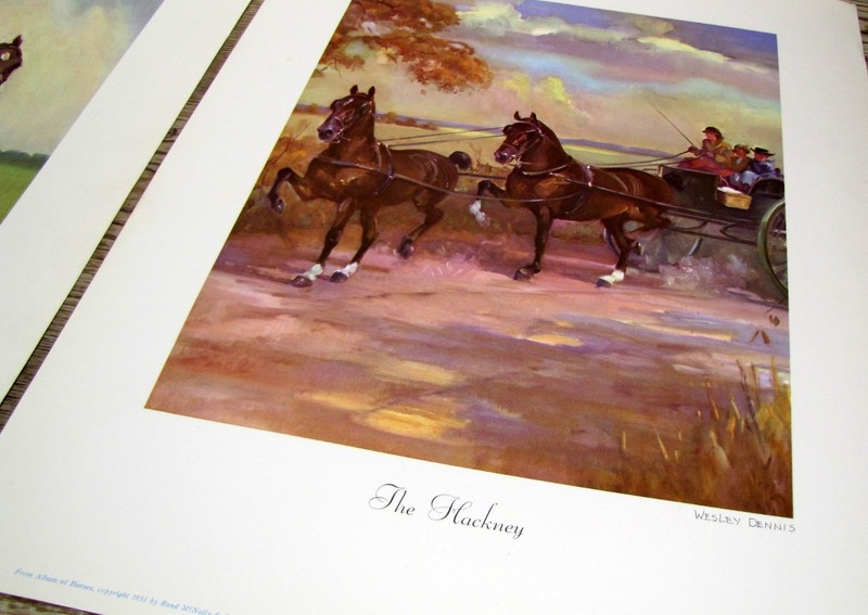 Vintage Wesley Dennis Horse Prints Lot 6 From 1951 Rand McNally Portfolio 16x12" gallery