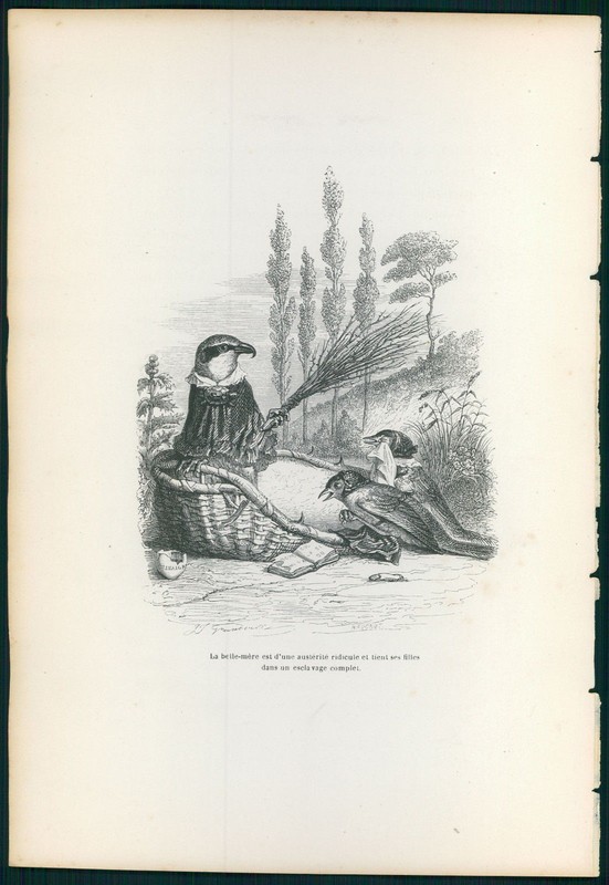 GRANDVILLE antique Litho print Dressed ANIMALS Private public life scenes birds