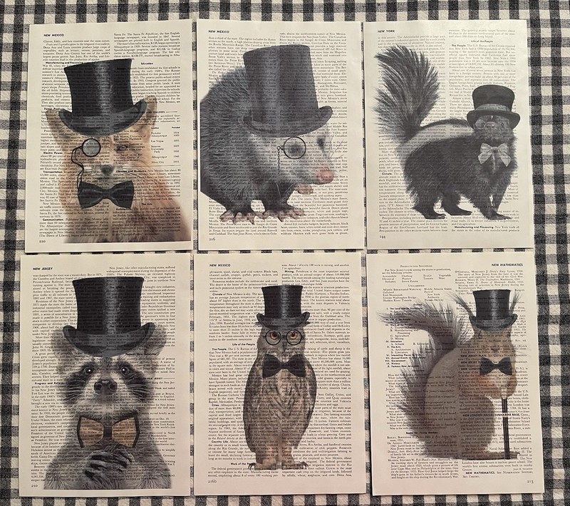 6 Fancy Woodland Animal World Book Page Print Set