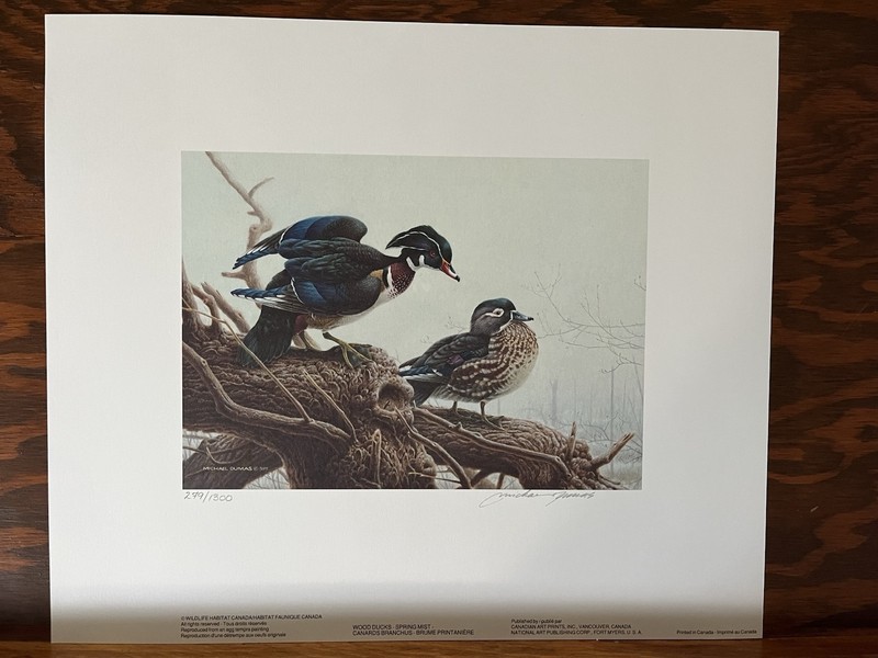 Canada 1990 Wildlife Habitat Conservation Stamp And Print Michael Dumas 249/1300