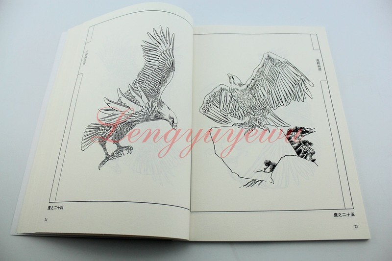 Chinese Ink Painting Hawk Eagle Red-Crowned Cran Outline Sketch Tattoo Book gallery