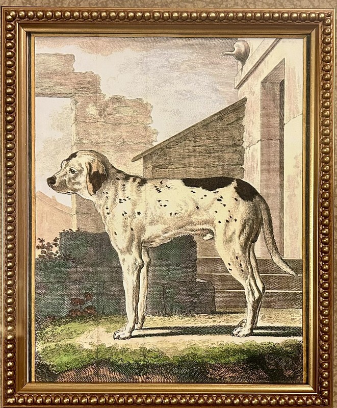 The Raschella Collection Art Print Titled Dog V Jacques Eustache de Seve 20x16