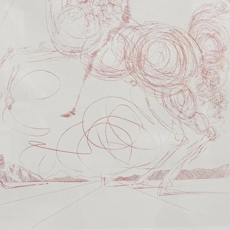 Salvador Dali "Don Quixote" Lithograph On Paper Signed & numbered gallery