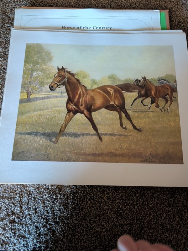 C. W. Anderson Man O' War Original Collection 8 Pictures gallery