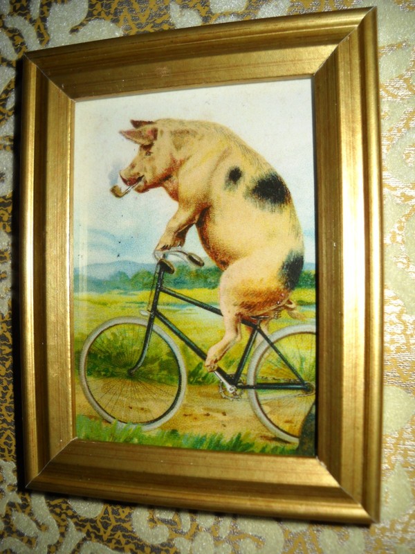PIG SMOKES PIPE RIDING BIKE 3 X 4 gold framed Victorian style animal picture