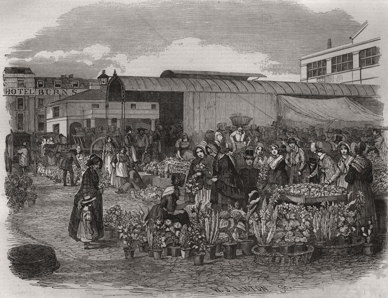 The flower market in Covent Garden. London 1848 old antique print picture