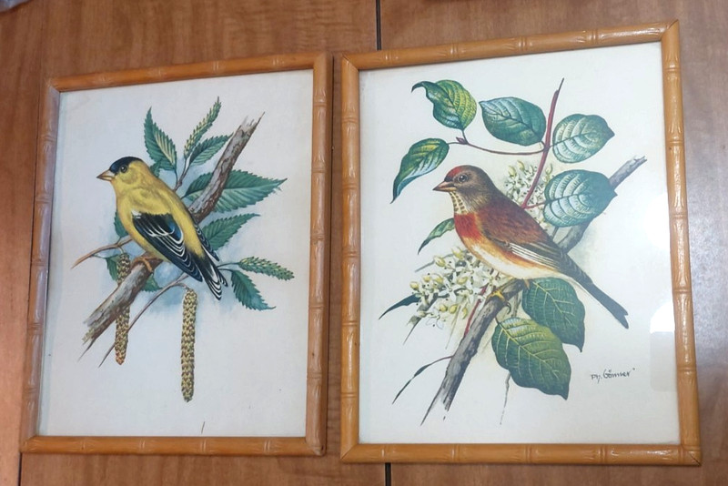 PH Gonner Bird Lithograph Print Bamboo Framed Finch Set of 2. 11 3/4" X 9 3/4"