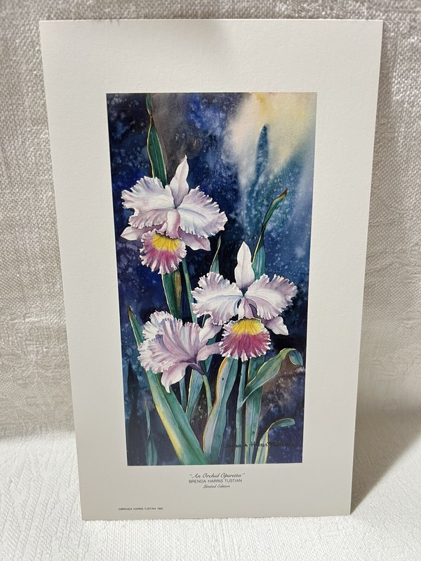 1991/92-Brenda Harris Tustian”Simple Elegance”&”An Orchid Operetta”Art Print Set gallery