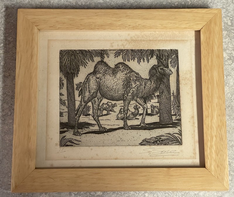 beautiful Litho Of A Two Hump Camel Signed And numbered By Artist Susan Sona