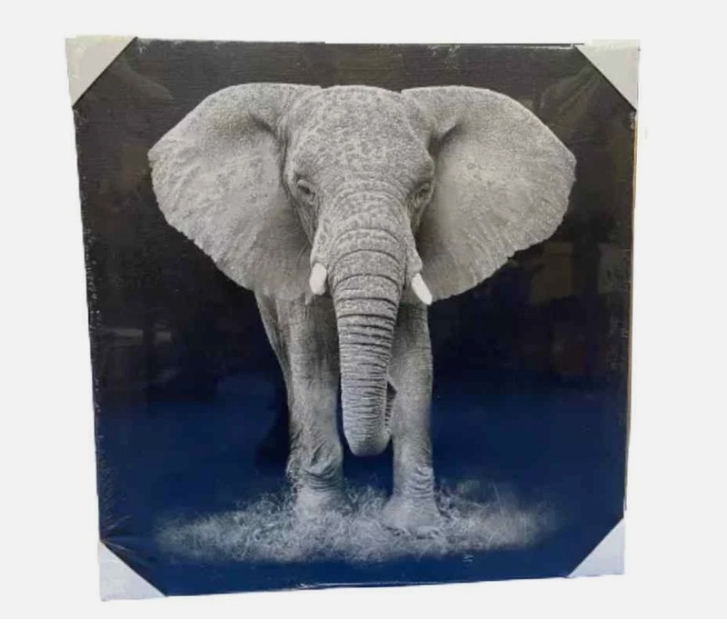 Glitter Canvas Lion/Elephant/Tiger Wall Art Home Decor 50cm Black White Grey gallery
