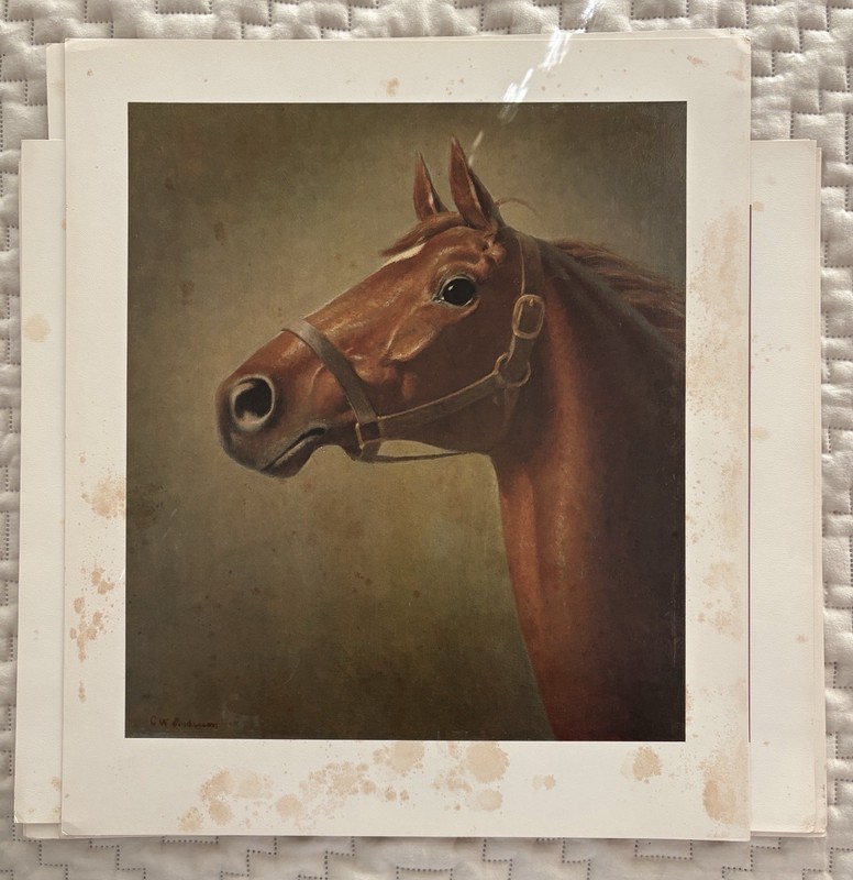 C. W. Anderson Man O' War Original Collection 8 Pictures