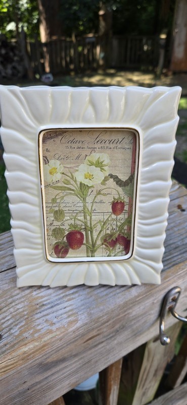 Framed Strawberry Botanical Print
