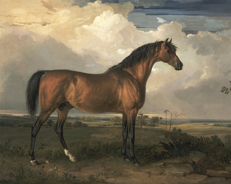 1800s Antique art Horse painting poster print Home Decor gallery