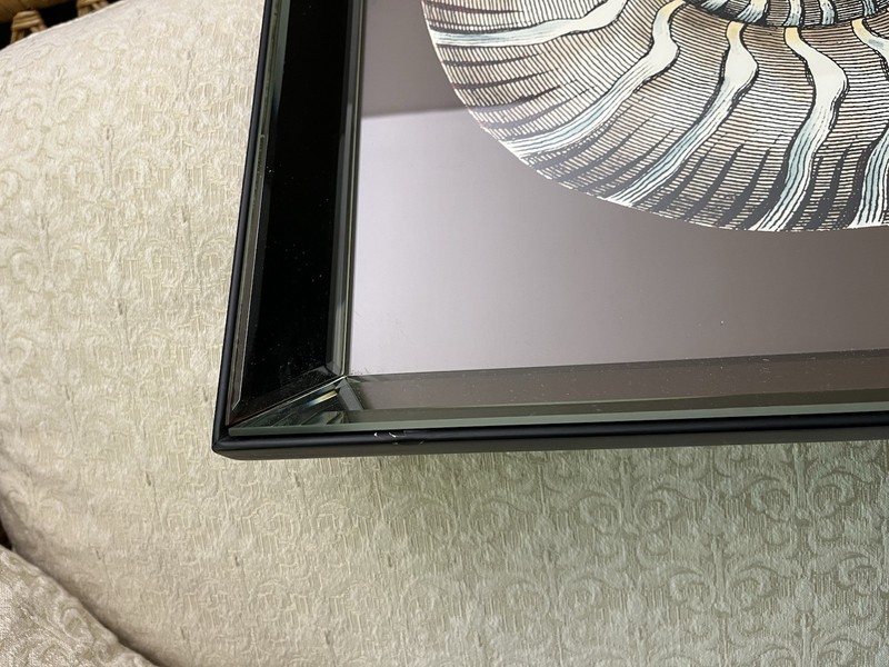 Cheryl P. Kohloff "Sand & Sea Shells" Mirrored Framed Prints – Big Fish Art gallery