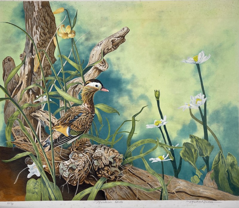 BUDDEN, Michael - 'MANDARIN DUCK'- HC 1/12- Fine Art Lithograph- Print- Vtg-New! gallery