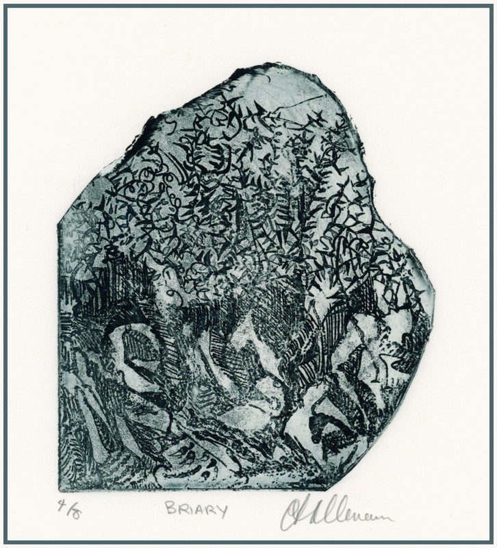 AMORPHOUS WILD GARDEN PLANTS Briar Patch Thorny Bush ORIGINAL Botanical ETCHING