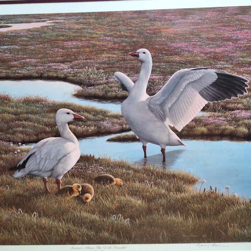 Ducks Unlimited Print Summer Above the 60th Parallel Signed Nancy Howe No Frame gallery