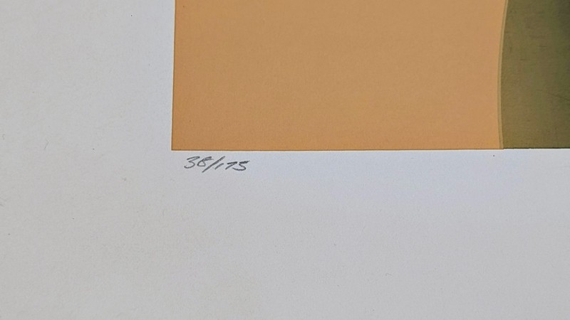 Mark Rowland “Focus” Signed Abstract Geometric Print 38/175 26x26 gallery