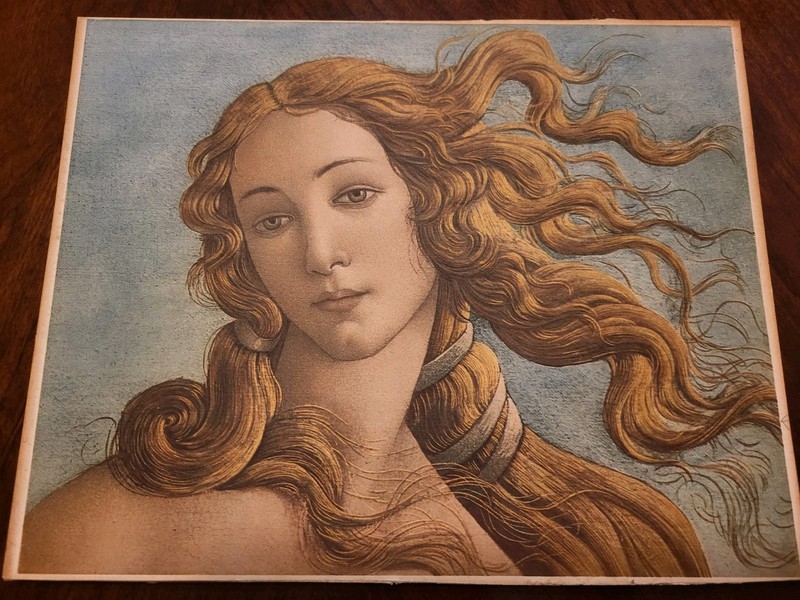 Sandro Botticelli The Birth of Venus Renaissance Fine Art Print Italy JT
