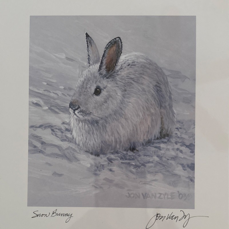Jon Van Zyle Snow Bunny Signed Art Print Rabbit Realism Paper Contemporary 2009 gallery