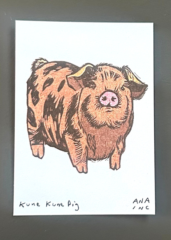 New Rare Custom Anastasia Inciardi «Kune Kune Pig» Mini Print