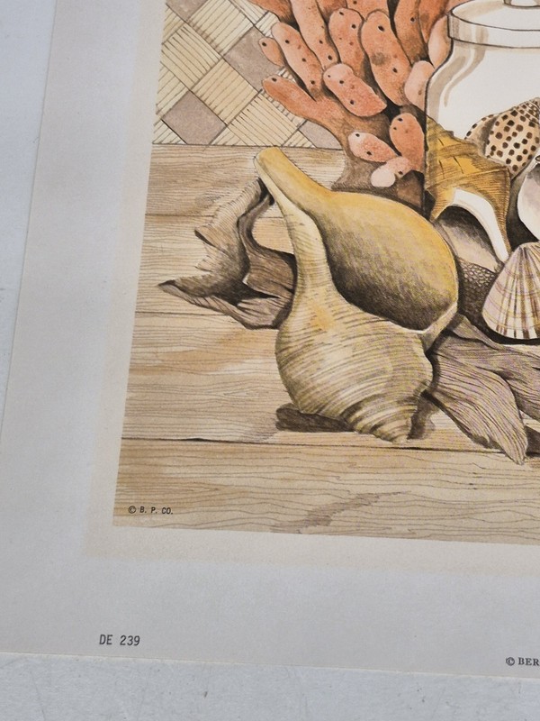 Vintage Frank Massa Beach Still Life Print Signed gallery