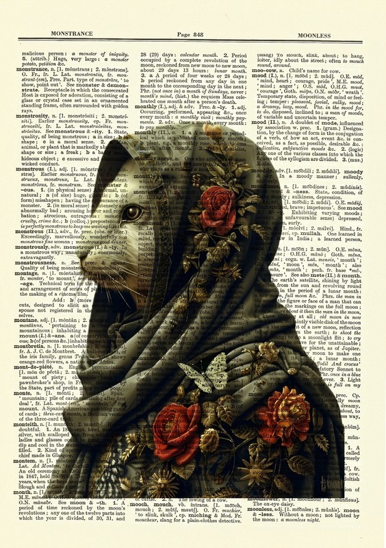 Cloaked Victorian Rabbit Dictionary Picture Poster Art Print Bunny Wall Hanging