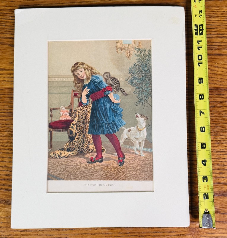 ANY PORT IN A STORM FRAMED LITHOGRAPH by Cosack & Co Buffalo NY Girl Cat Dog gallery