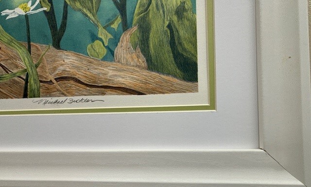 Michael Budden "Mandarin Duck" Hand Signed Limited Edition Bird Wildlife Art NEW gallery