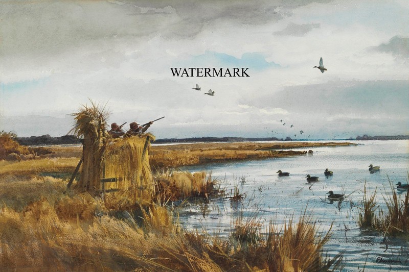 Ogden Minton Pleissner – Duck Hunting Blind – 17×26 Print Sporting Art Shooting