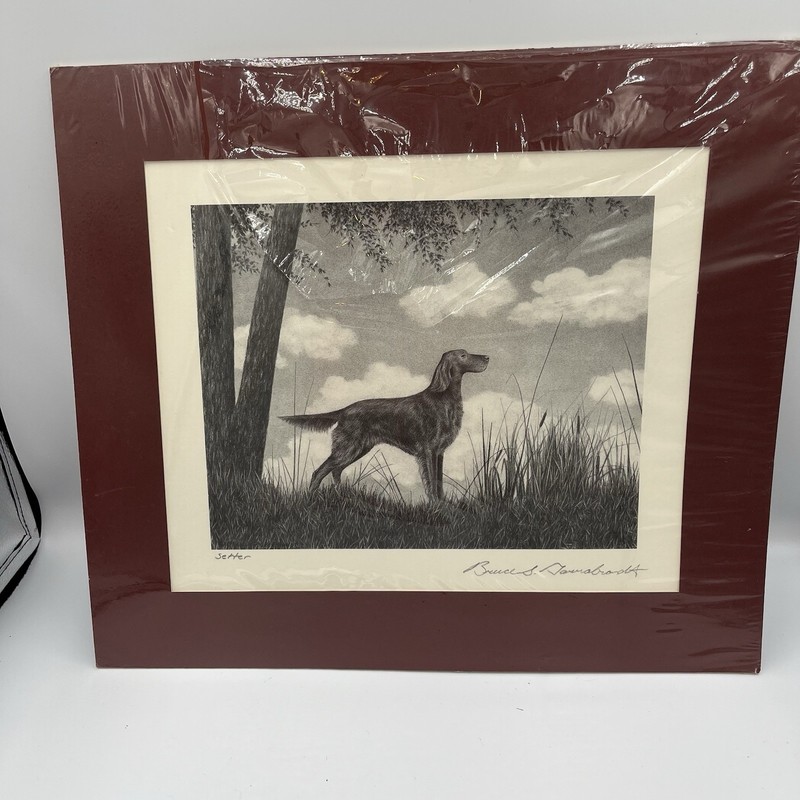 Bruce S. Garrabrandt Print Setter Dog Black & White Matted Art Vintage 14 X 16