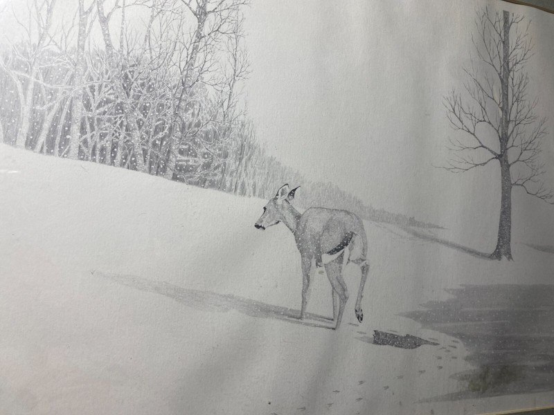 Ken Schuler "Deer In Winter Landscape Scene'" LE Print 131/200 - Signed/Framed gallery