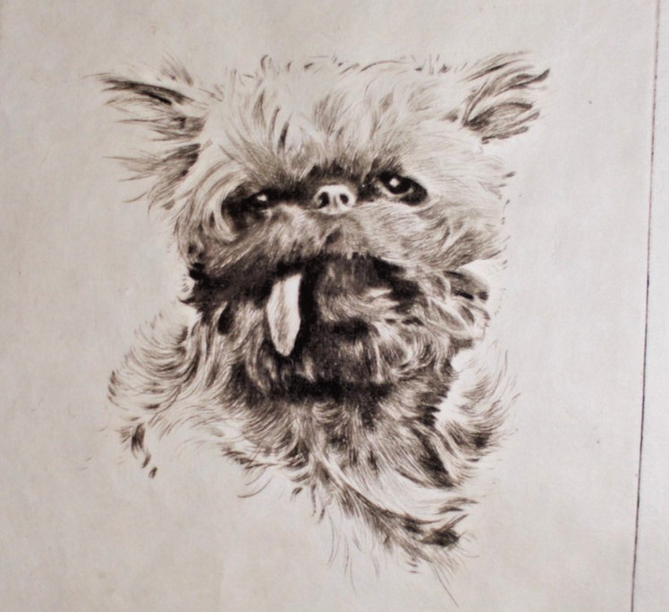 Great C.1930 Morgan Dennis Original Pencil Signed Etching Belgian Griffon gallery