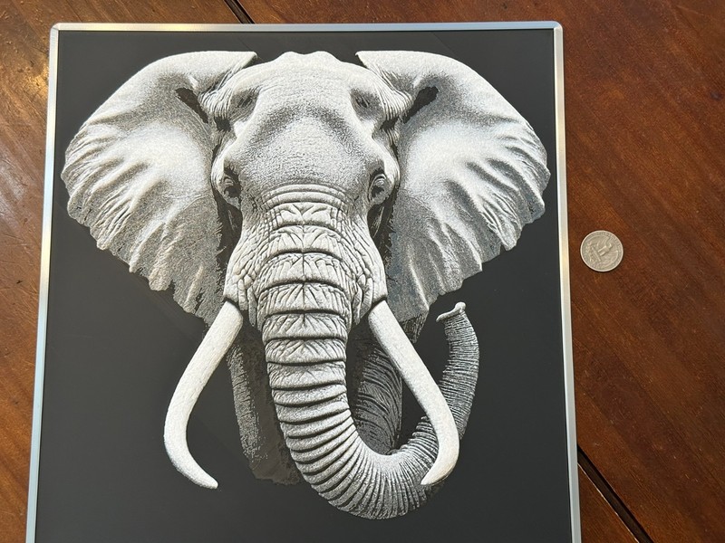 Majestic Gaze 3d Image – Up to 12 inch – Multiple Versions -Wall Hanger Included