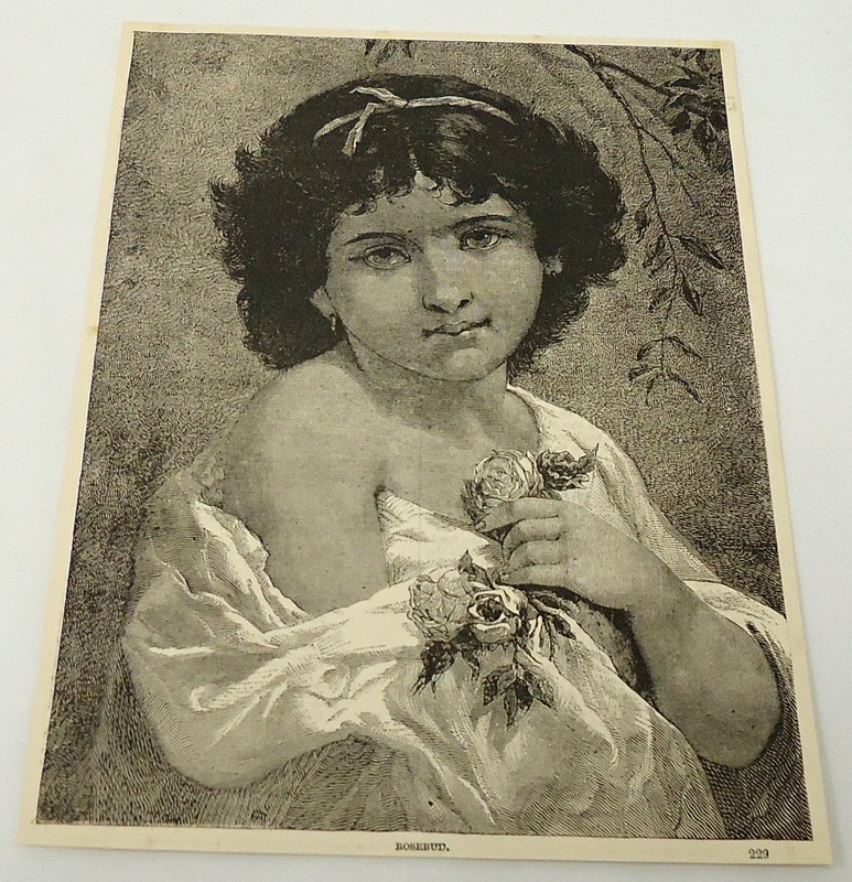 1884 magazine engraving ~ ROSEBUD – pretty young girl with flowers