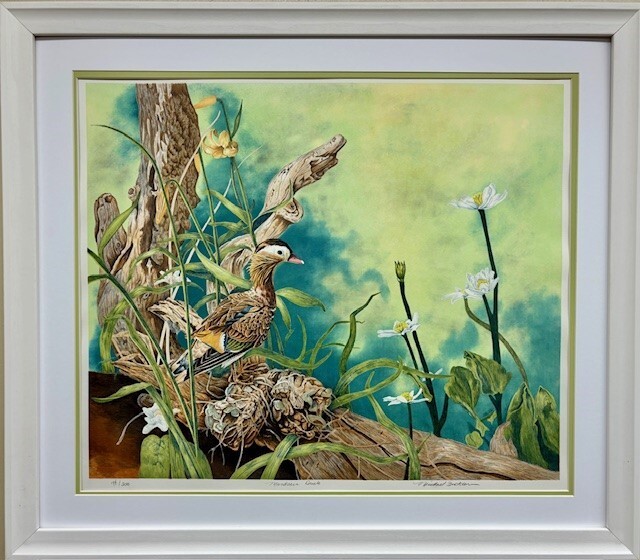 Michael Budden «Mandarin Duck» Hand Signed Limited Edition Bird Wildlife Art NEW