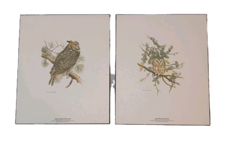 Pair Owl Art Prints M. Glen Loates ’77 On Board Great Horned And Saw-Whet Owls