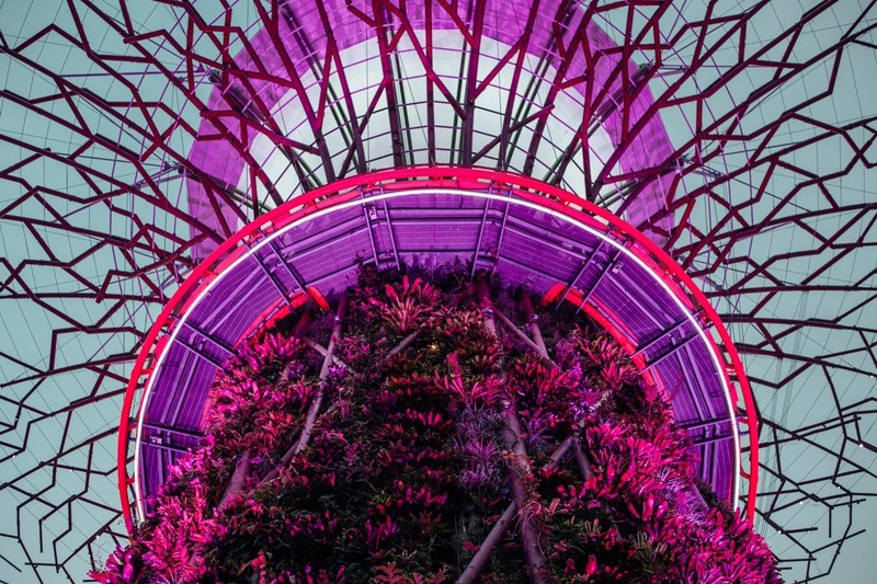 Artographie - Supertree Grove, Singapore - Art Print on Paper or Canvas gallery