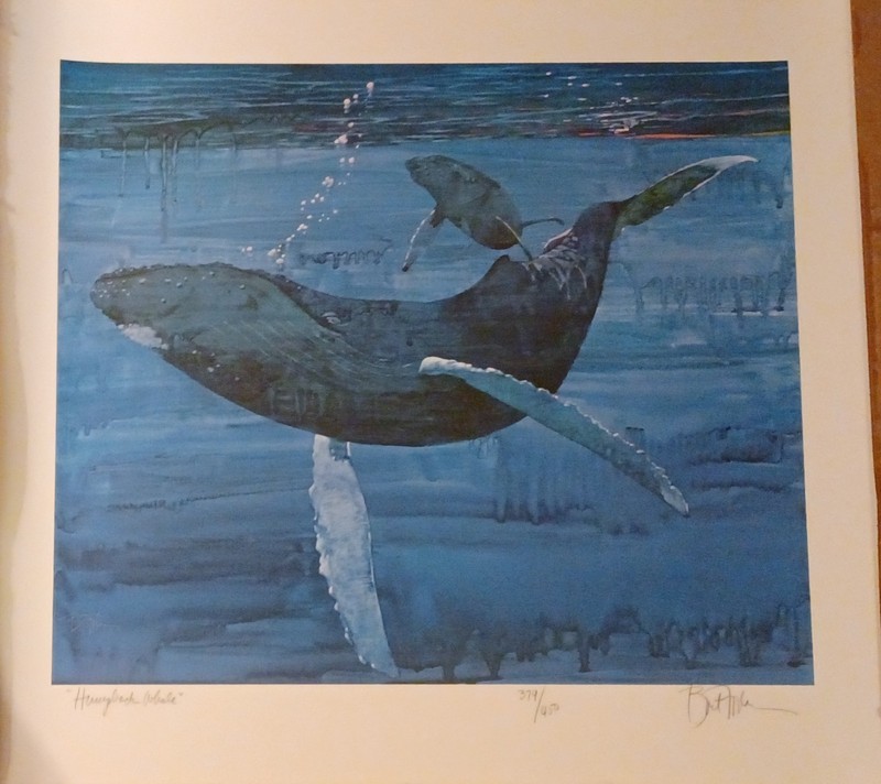 Humpback Whale by Bart Forbes – Signed/Numbered Print