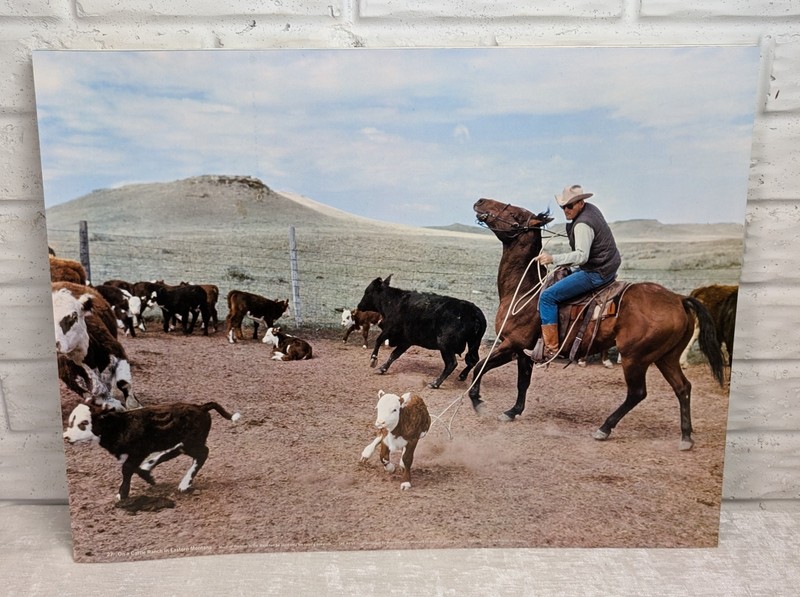 Vintage 1960s Fideler Print Cattle Ranch Eastern Montana Cowboy Rodeo 17.5×23