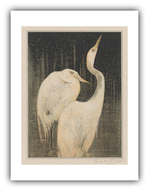 Theo van Hoytema: "Two Egrets" (c.1905) - Giclee Fine Art Print