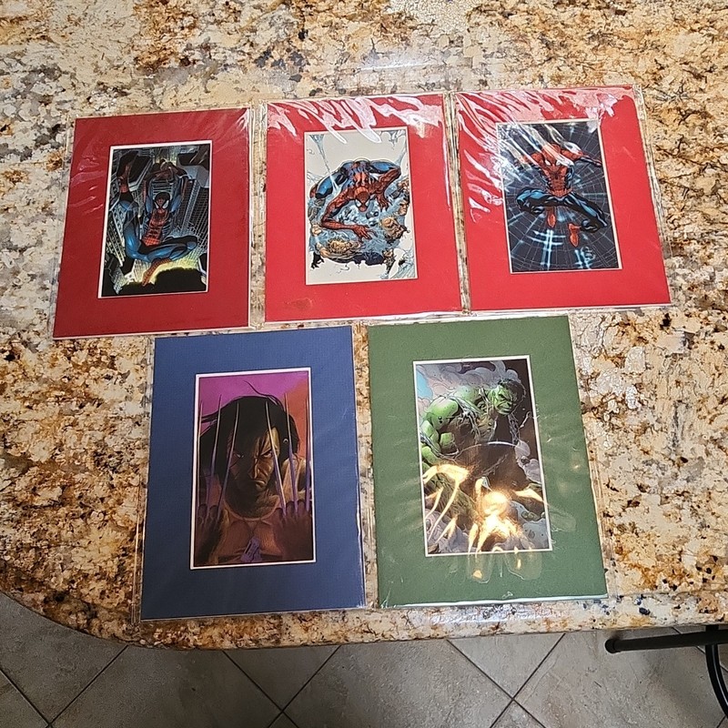 Marvel Comics Spider-Man & Hulk Matted Portrait Paper Prints Lot, Licensed