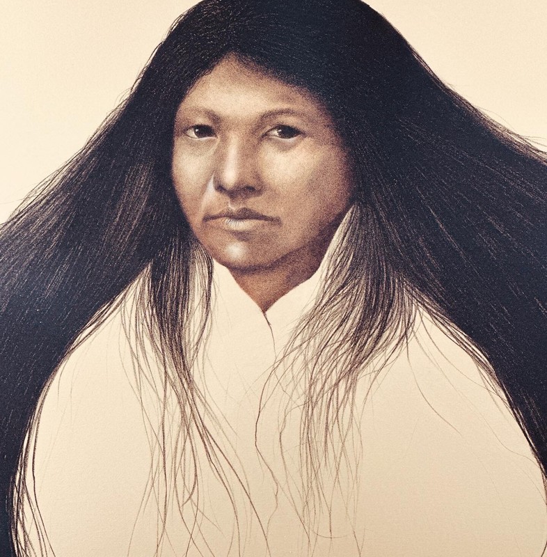 Frank Howell Lakota Summer gallery
